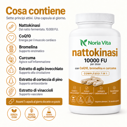 Nattokinasi a massima potenza 10.000 FU — Supporto alla circolazione