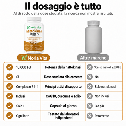 Nattokinasi a massima potenza 10.000 FU — Supporto alla circolazione