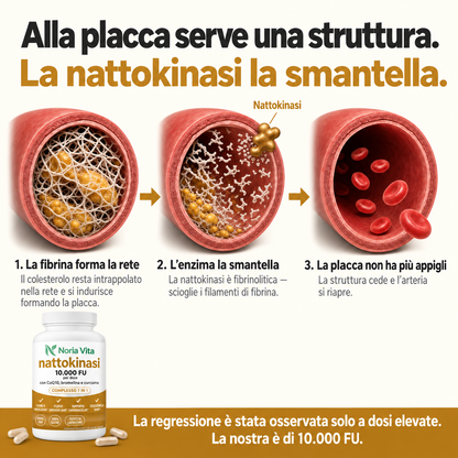 Nattokinasi a massima potenza 10.000 FU — Supporto alla circolazione